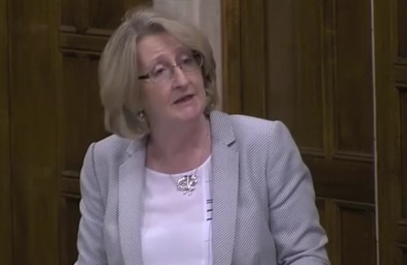Mary speaking in the HS2 in the North West of England Debate