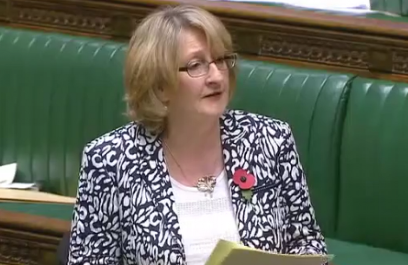 Mary speaking in the NHS (Charitable Trusts Etc.) Bill Debate