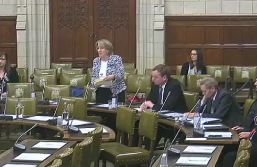 Mary speaking in the Greater Manchester Spatial Framework Debate