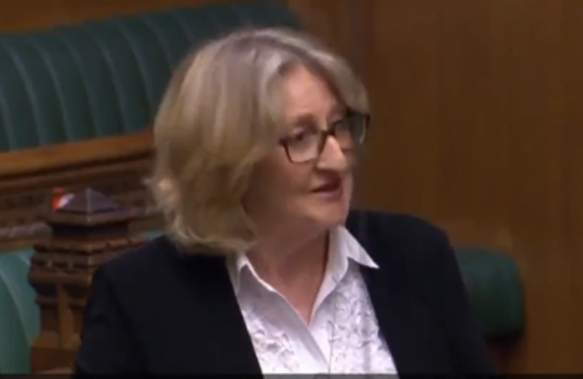 Mary questioning the Minister on whistleblowing