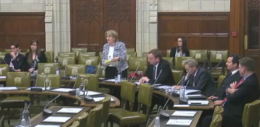 Mary speaking in the Greater Manchester Spatial Framework Debate